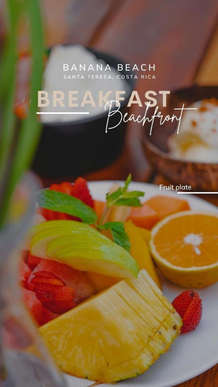 Peace Lofts And Apartments Playa Santa Teresa  Ngoại thất bức ảnh